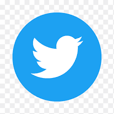Twitter Icon